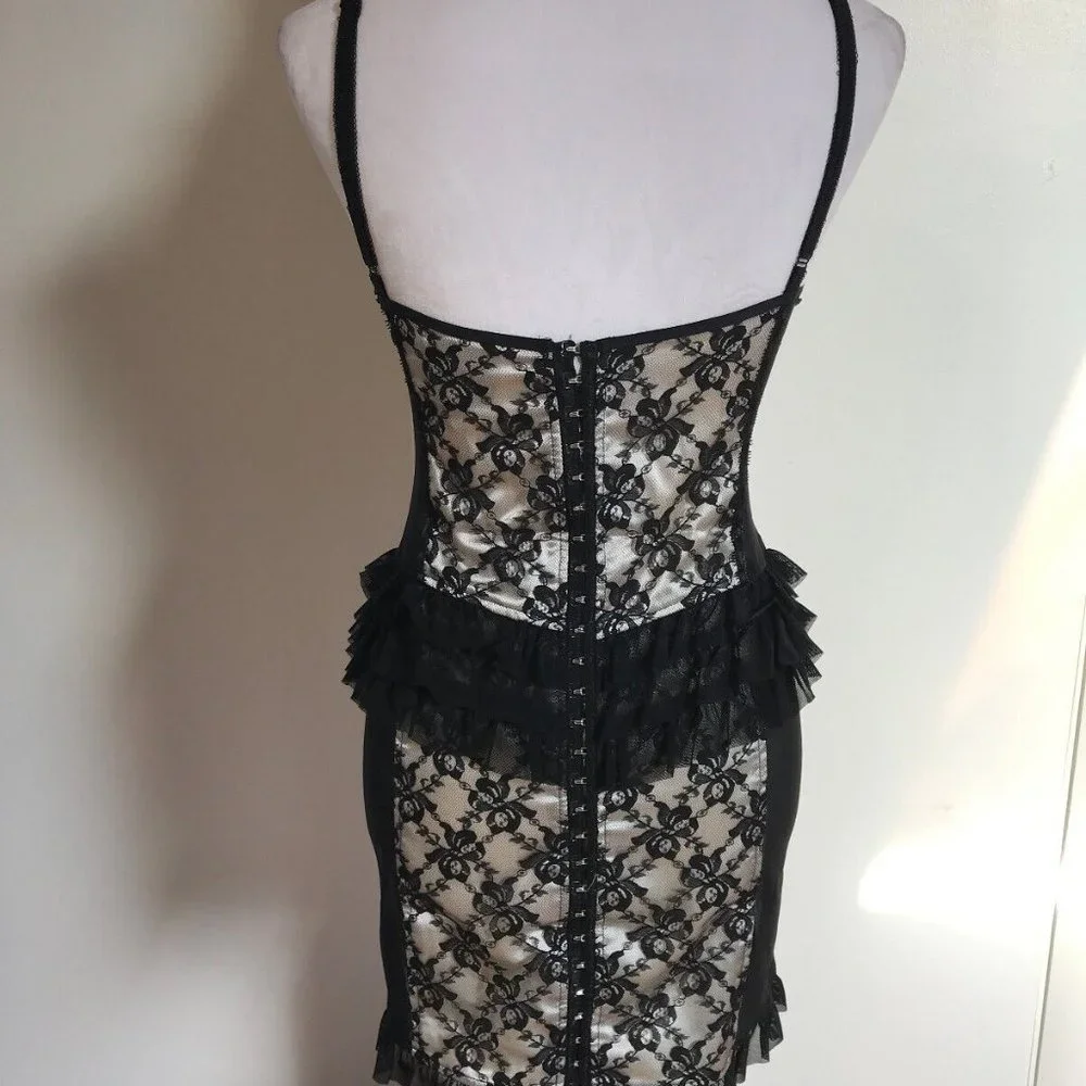 Lip Service Vintage Vaudeville Vamps Gothic Victorian Lace & Mesh Dress XS - Picture 6 of 8